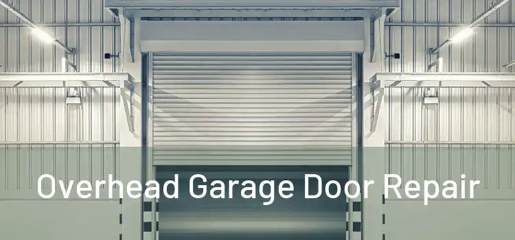  Overhead Garage Door Repair 